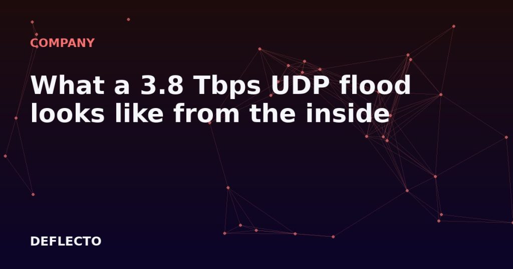 What a 3.8 Tbps UDP flood looks like from the inside